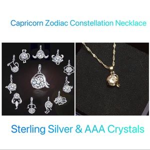 ♑️Capricorn Zodiac Constellation Necklace NEW♑️
